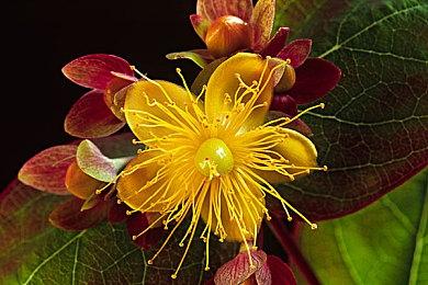 《警察模拟器：巡警》结束EA正式发售 价格永降老玩家补偿DLC